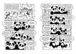 pandat