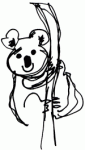 koala